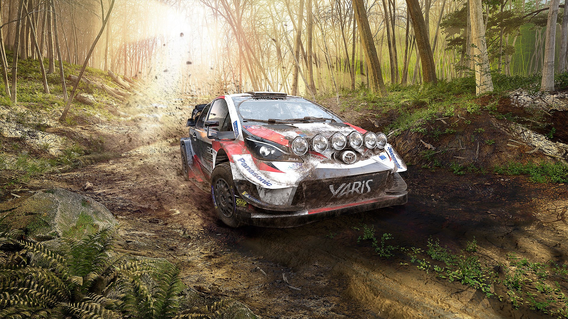WRC 9 FIA World Rally Championship