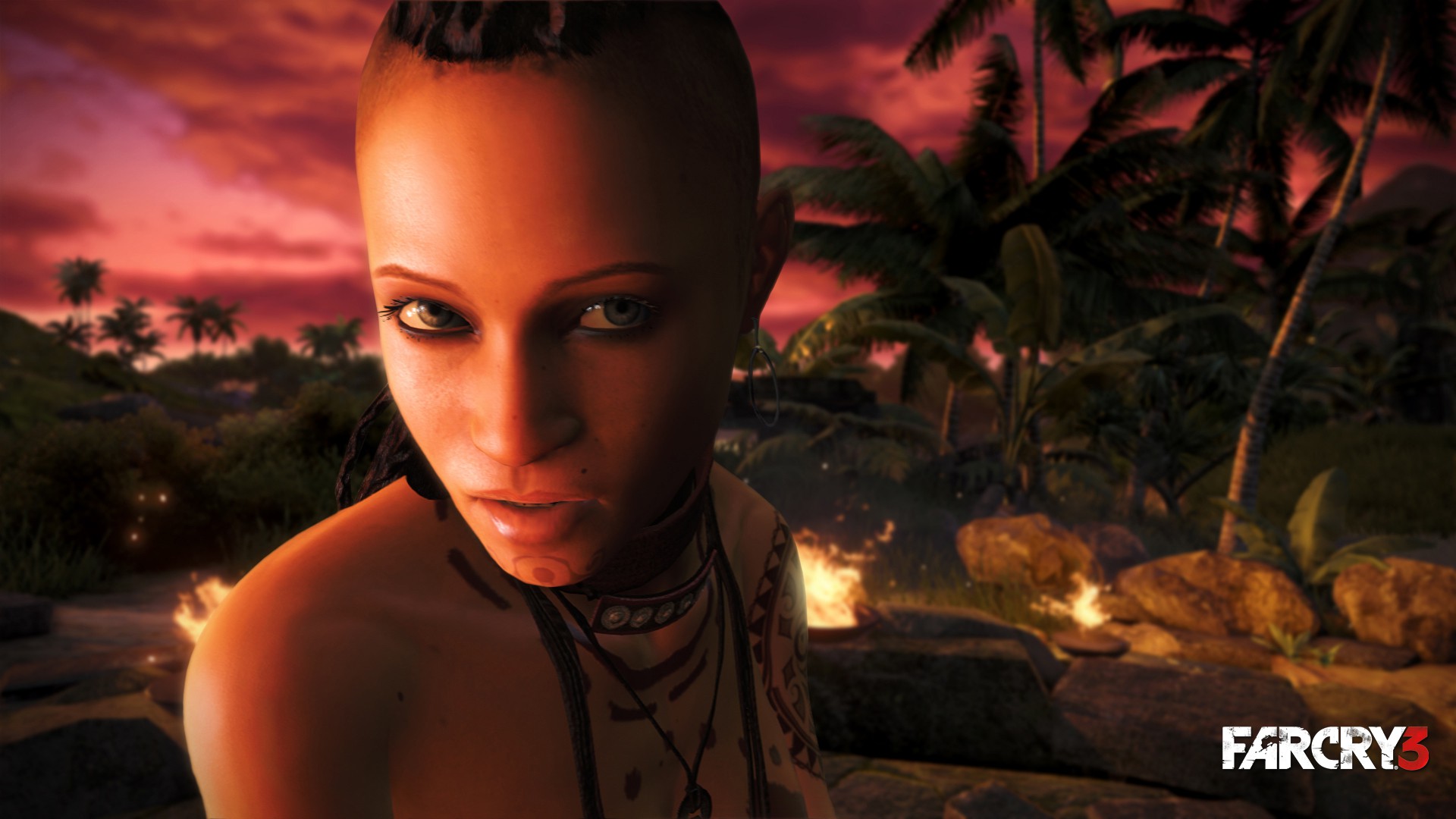 Far Cry® 3 Deluxe Edition