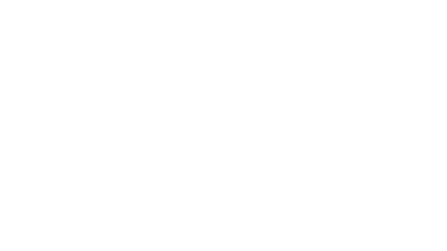  Wolfenstein®: The New Order™