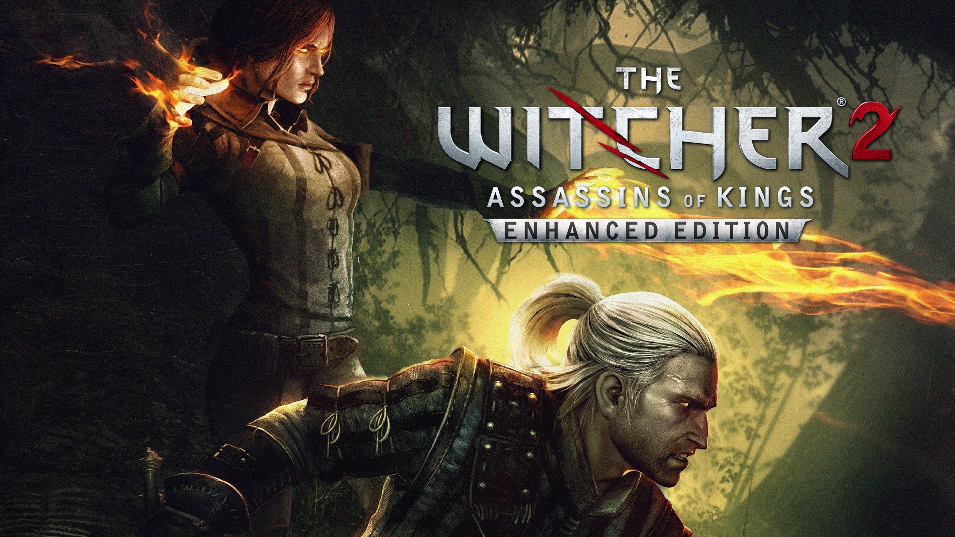 The witcher 2 assassins of kings enhanced edition значок стим фото 4