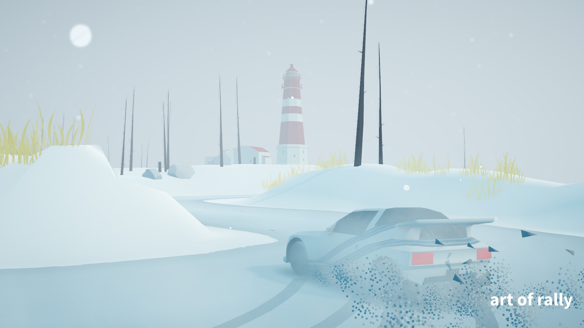art of rally