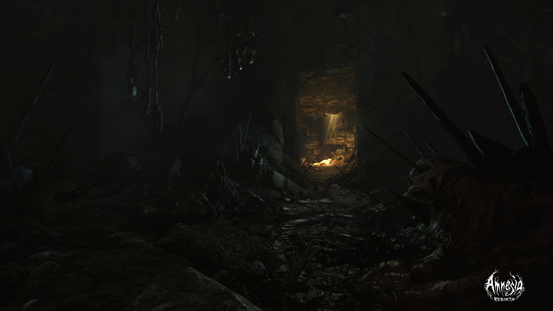 Amnesia: Rebirth