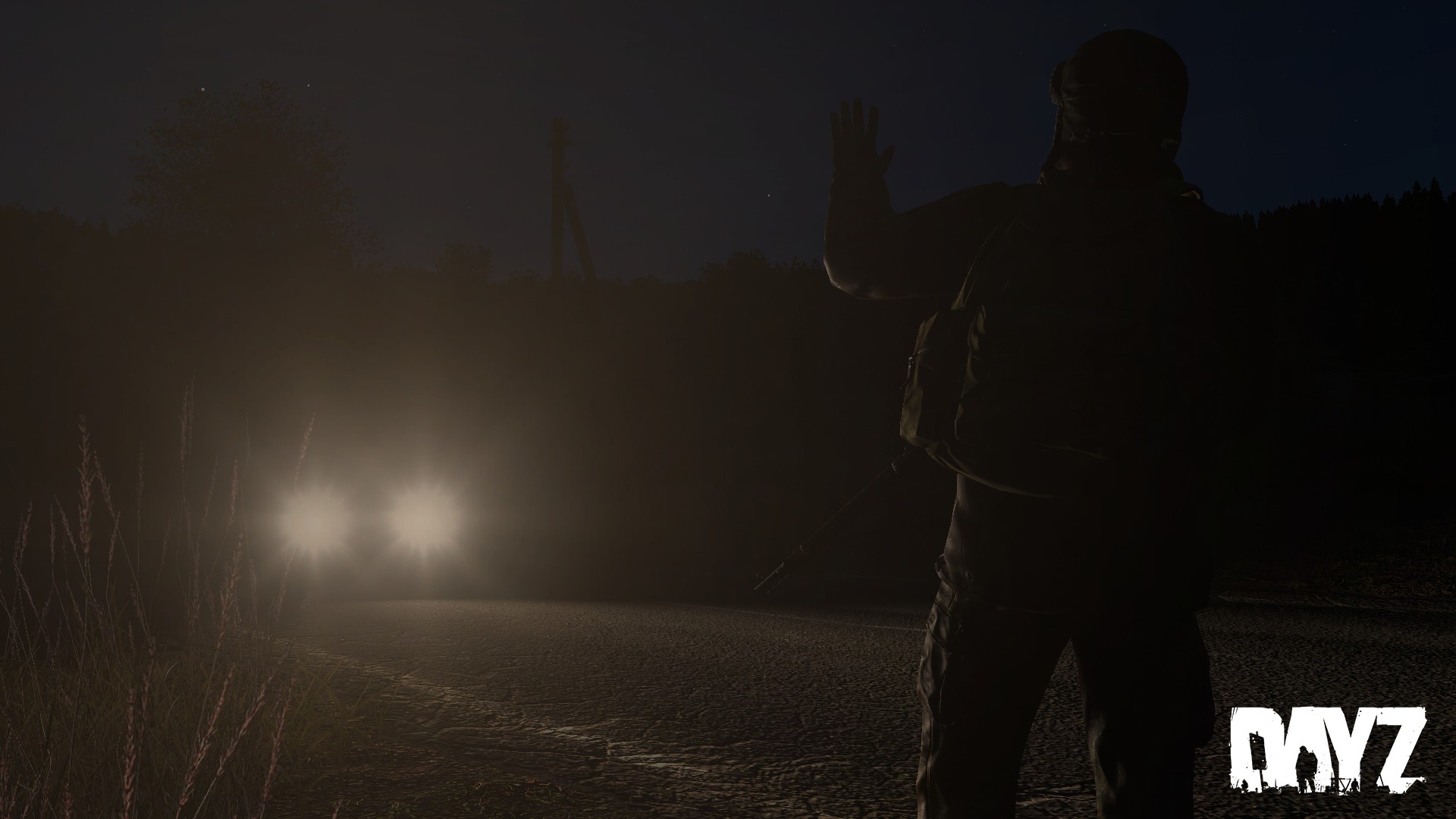 DayZ