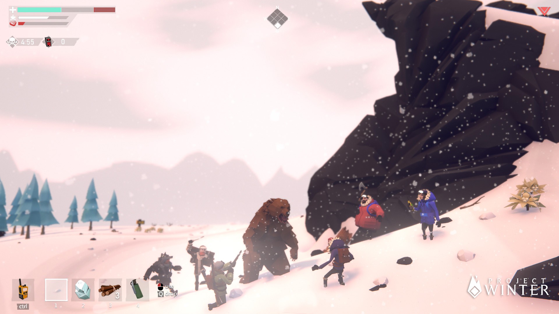 Project Winter