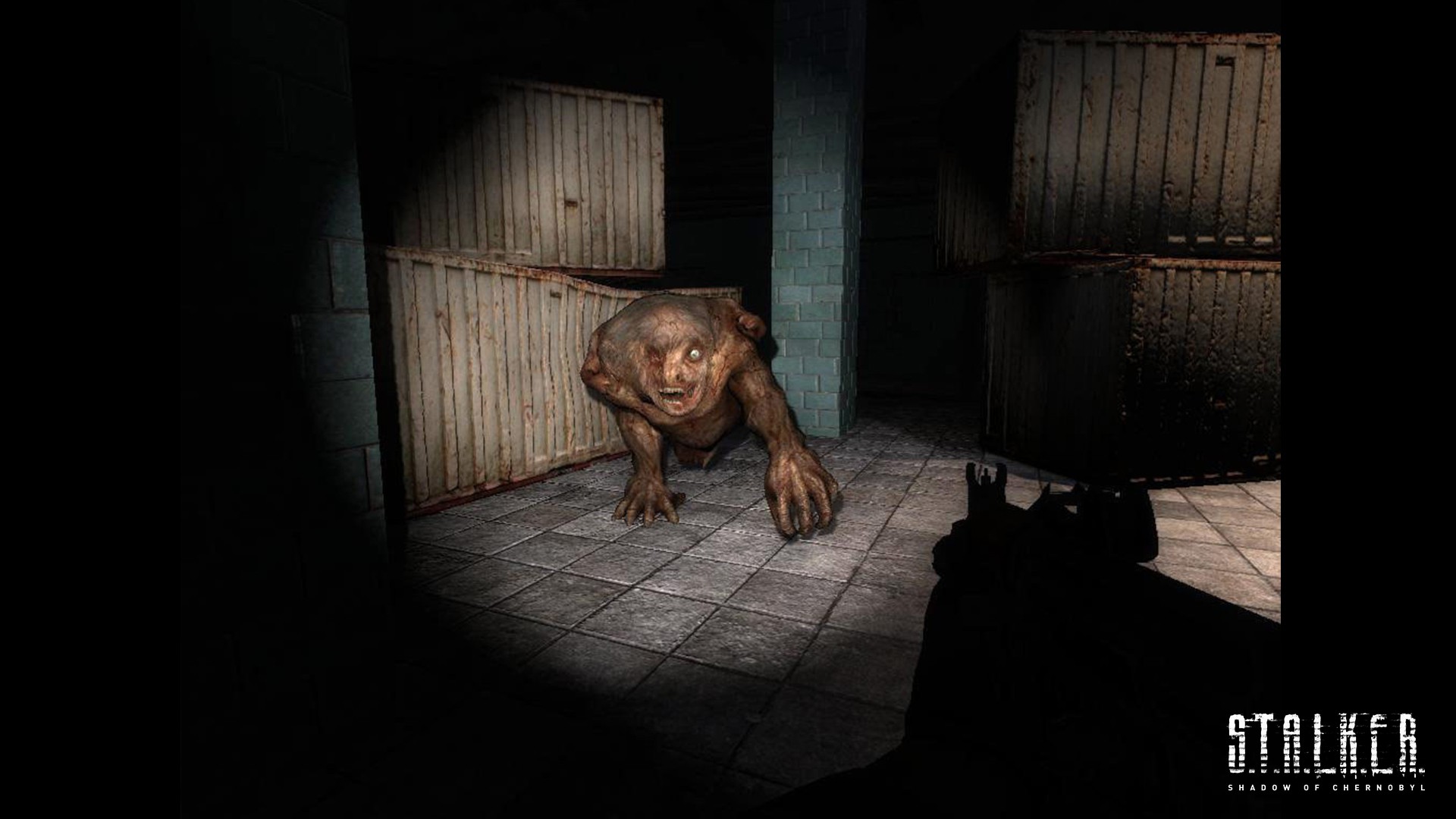 S.T.A.L.K.E.R.: Shadow of Chernobyl