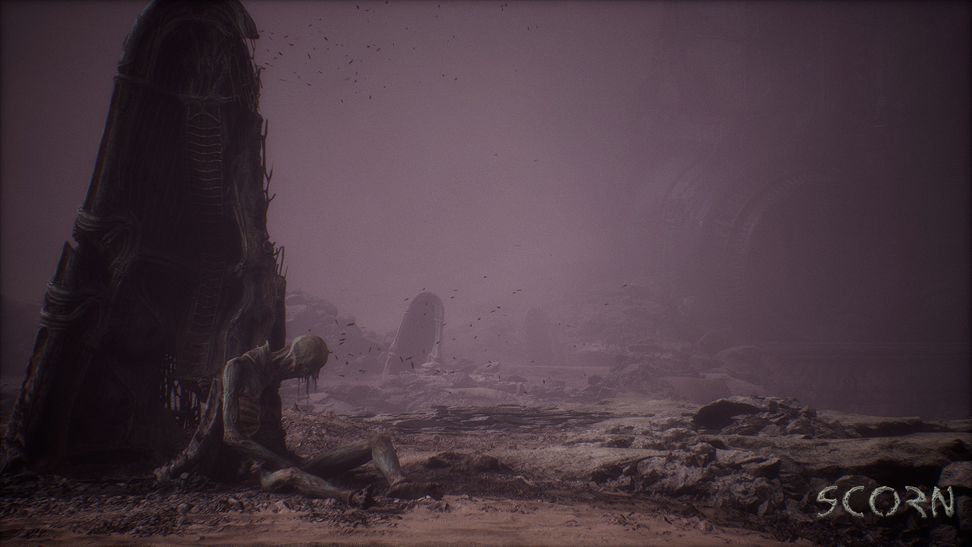 Scorn