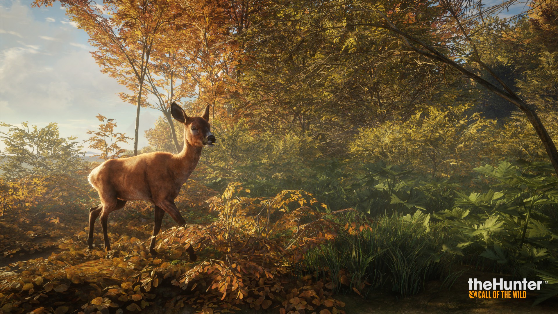 theHunter: Call of the Wild™