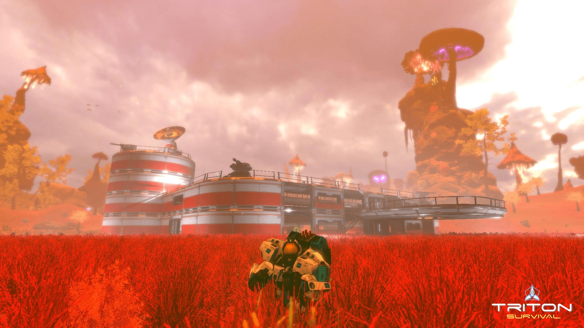 Triton Survival