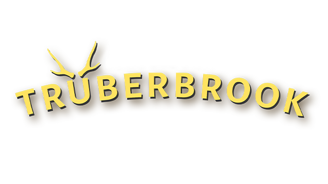 Trüberbrook