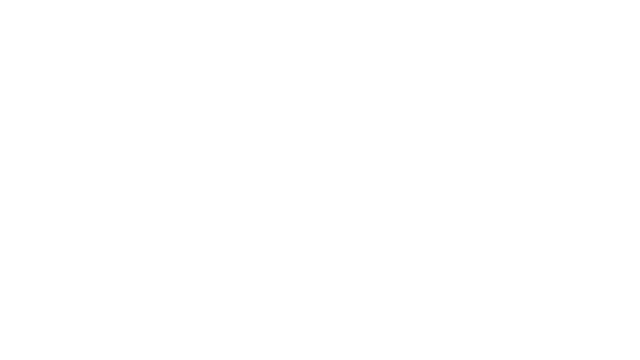 Thief