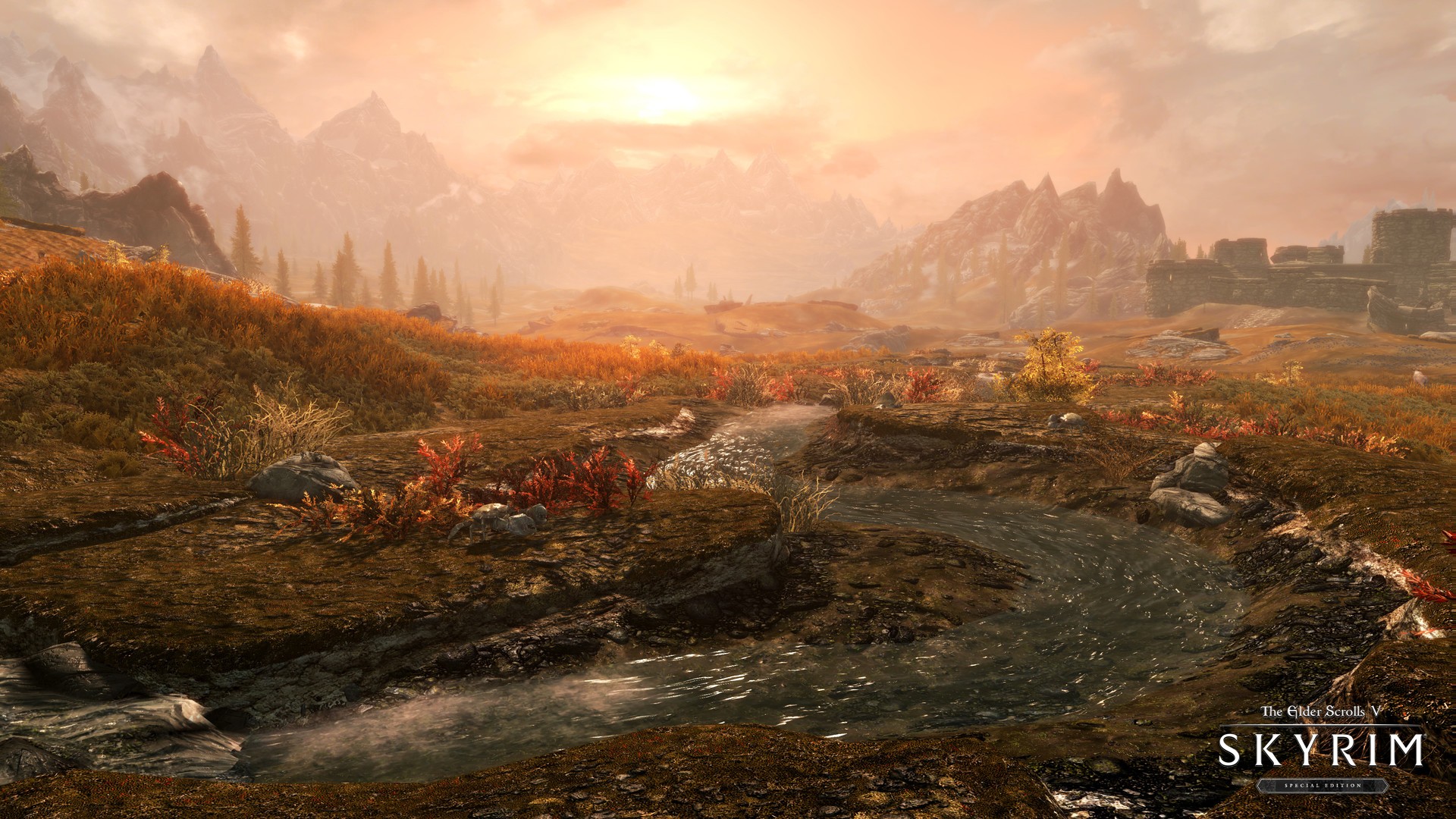 The Elder Scrolls V: Skyrim Special Edition