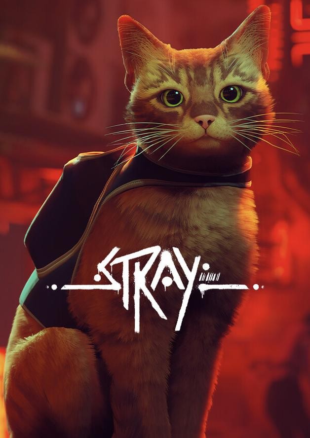 Stray cover art