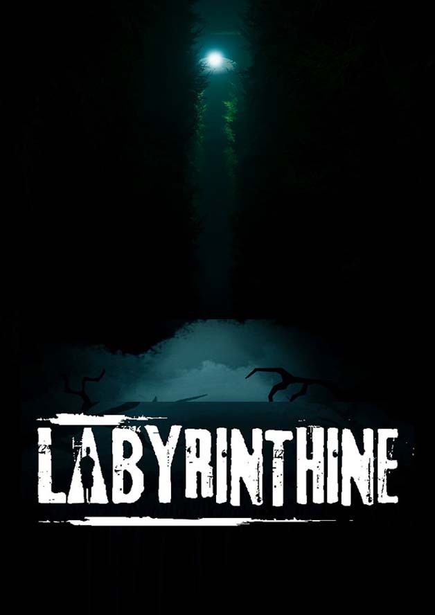 Labyrinthine