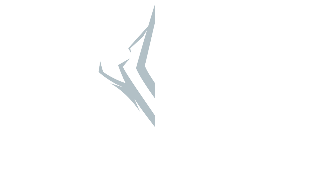Predecessor