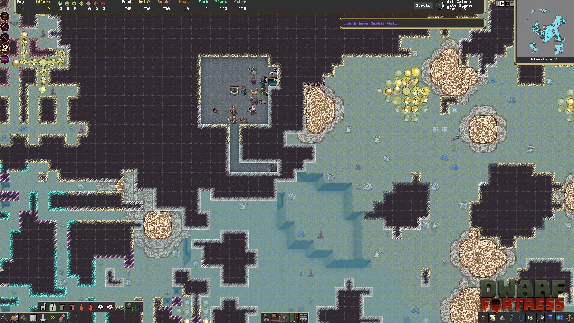 Dwarf Fortress
