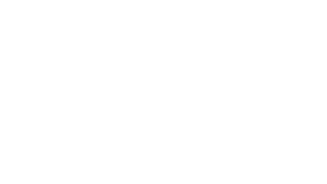 The Settlers®: New Allies