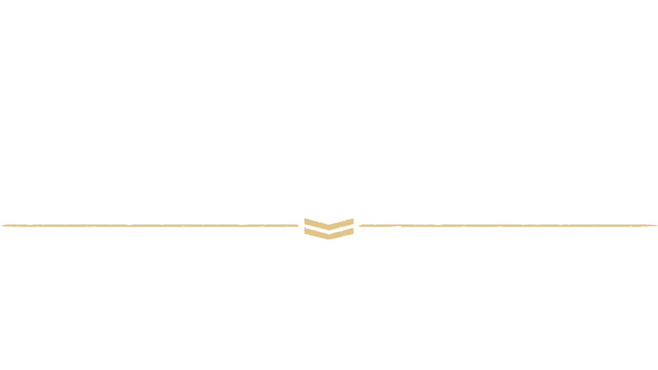 Last Train Home