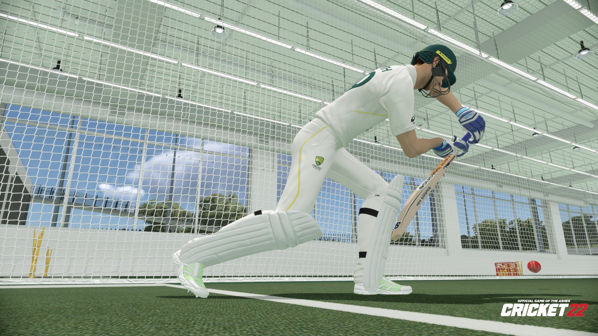 Cricket 22