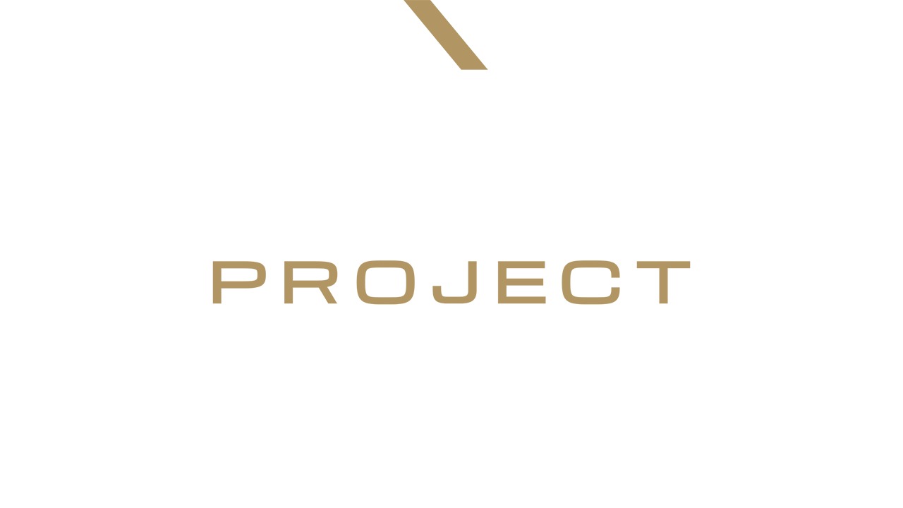 Project Motor Racing