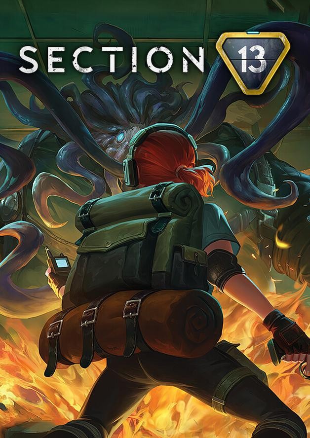 Section 13 cover art