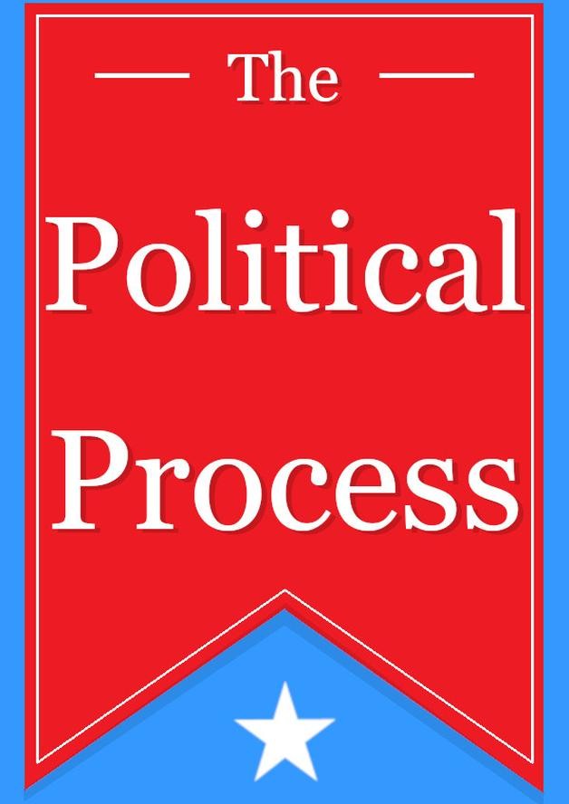 The Political Process cover art