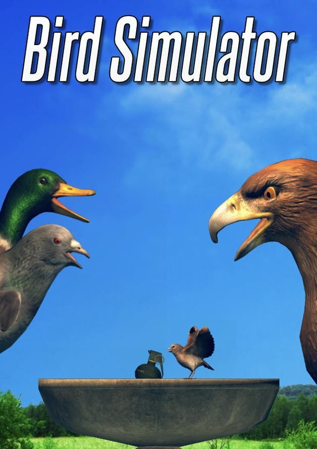 Bird Simulator cover art