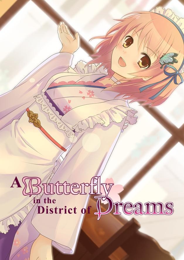 A Butterfly in the District of Dreams cover art
