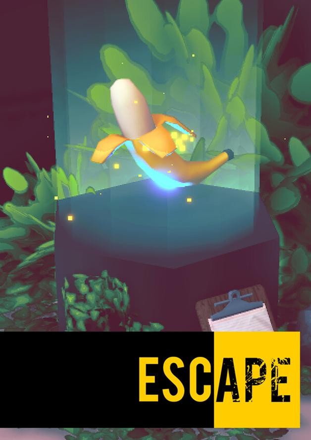 ESC/APE cover art